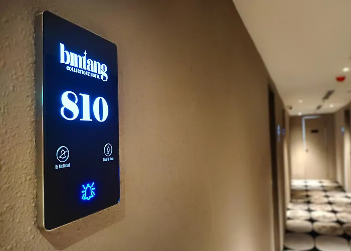Bintang Collectionz Hotel